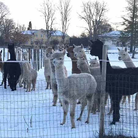 Huoneisto Anttipoffi Matildedal
